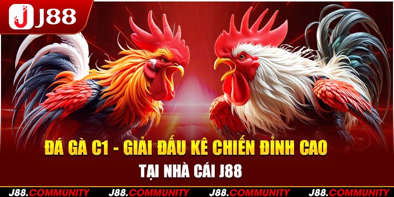 Đá Gà C1 - Giải Đấu Kê Chiến Đỉnh Cao Tại Nhà Cái J88