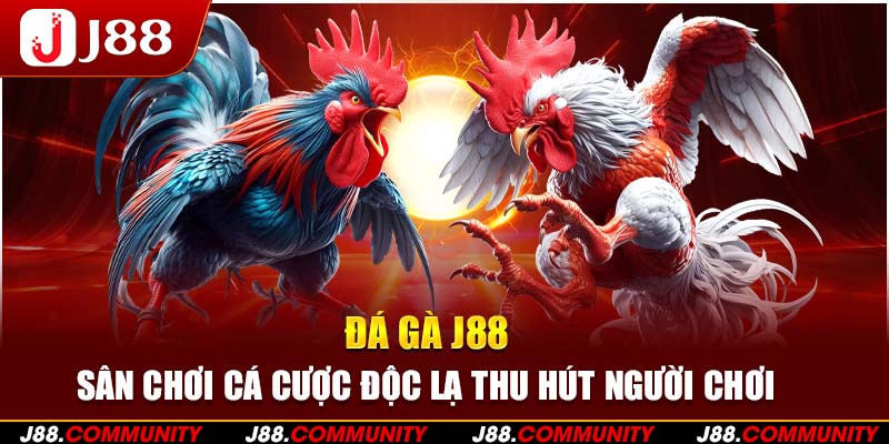 Đá Gà J88 – Sân Chơi Cá Cược Độc Lạ Thu Hút Người Chơi