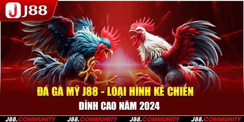 Đá Gà Mỹ J88 - Loại Hình Kê Chiến Đỉnh Cao Năm 2024