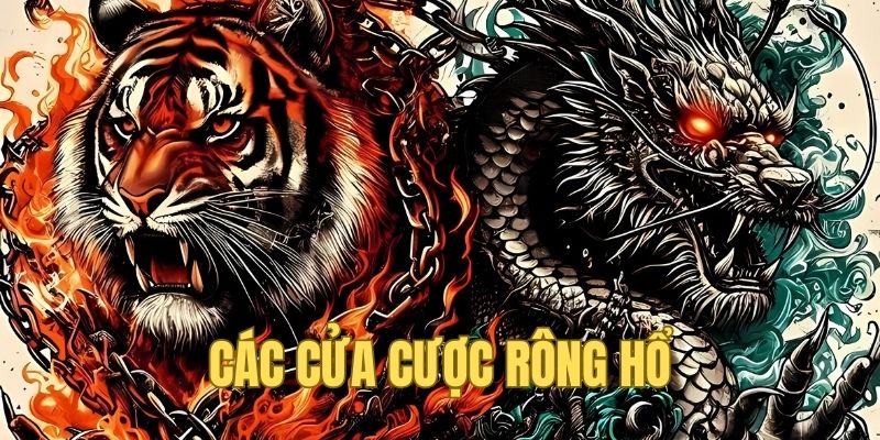 Tổng hợp những cửa cược phổ biến trong Dragon Tiger